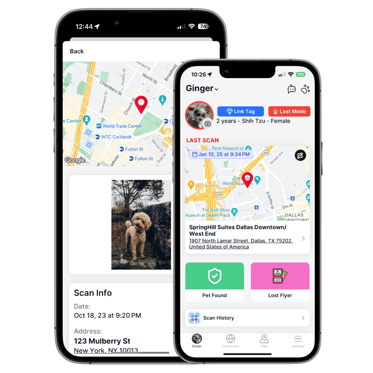 Find Lost Pets Faster